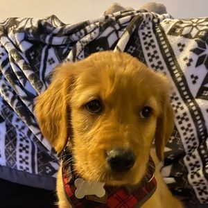 Meet your Posher, Joanna